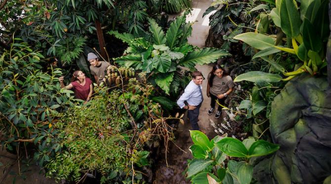 Students and a professor stand among plants and are seen from above.