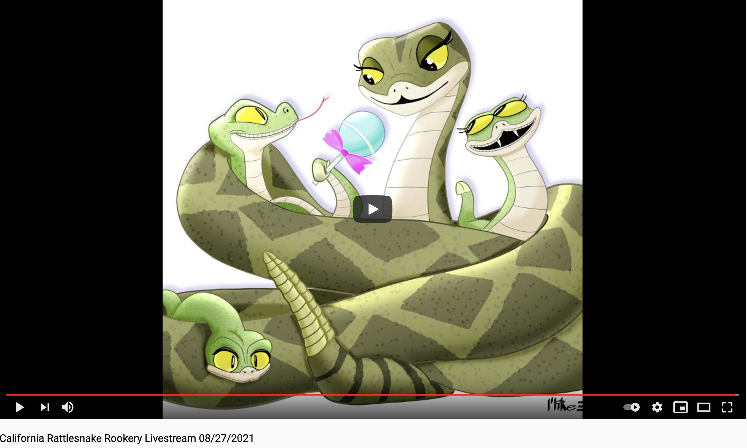 A screenshot from a YouTube video that shows the play button over a cartoon image of a rattlesnake family. 