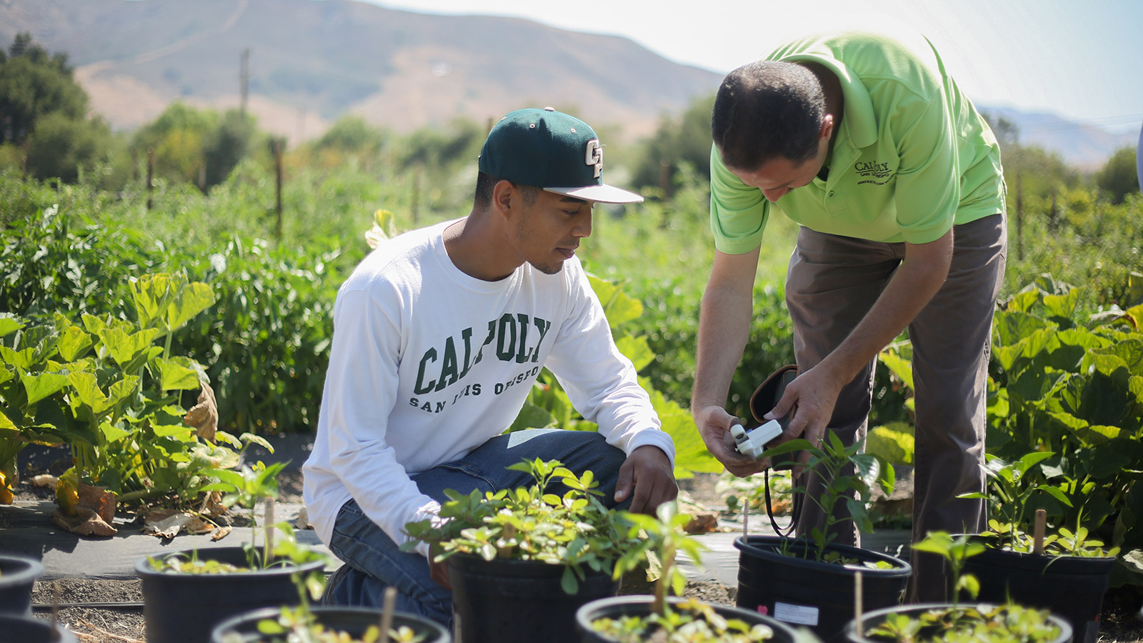 College of Agriculture, Food and Environmental Sciences | Cal Poly