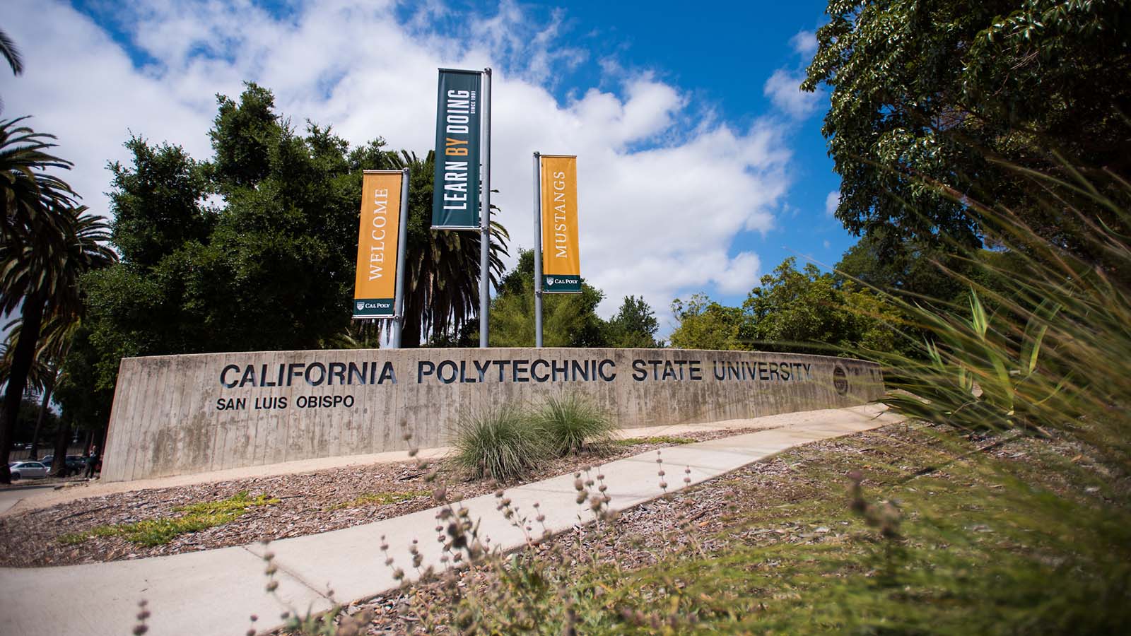 CAED Alumni Updates Winter 2022 Cal Poly
