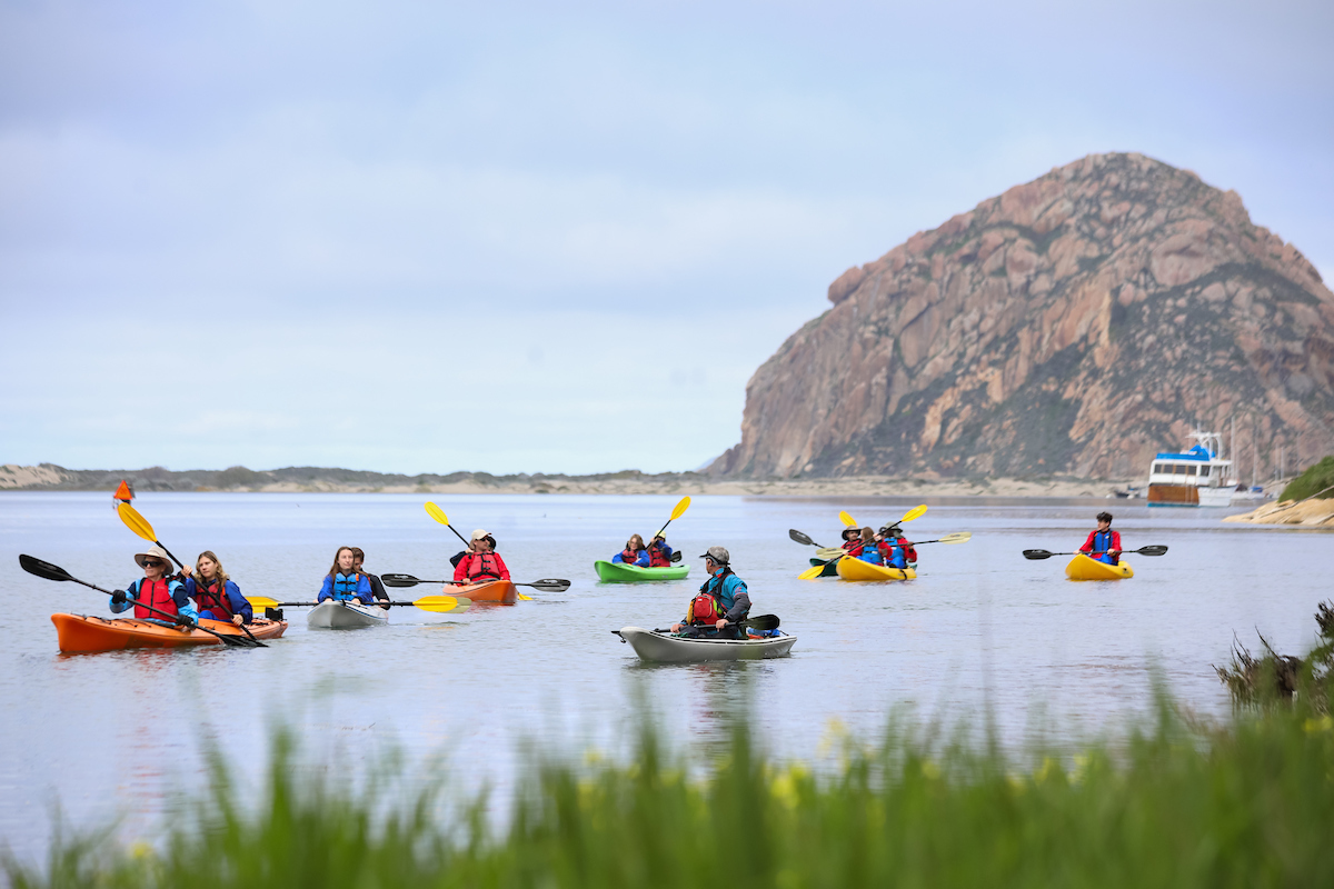 People paddle 7 kayaks in Morro Bay.