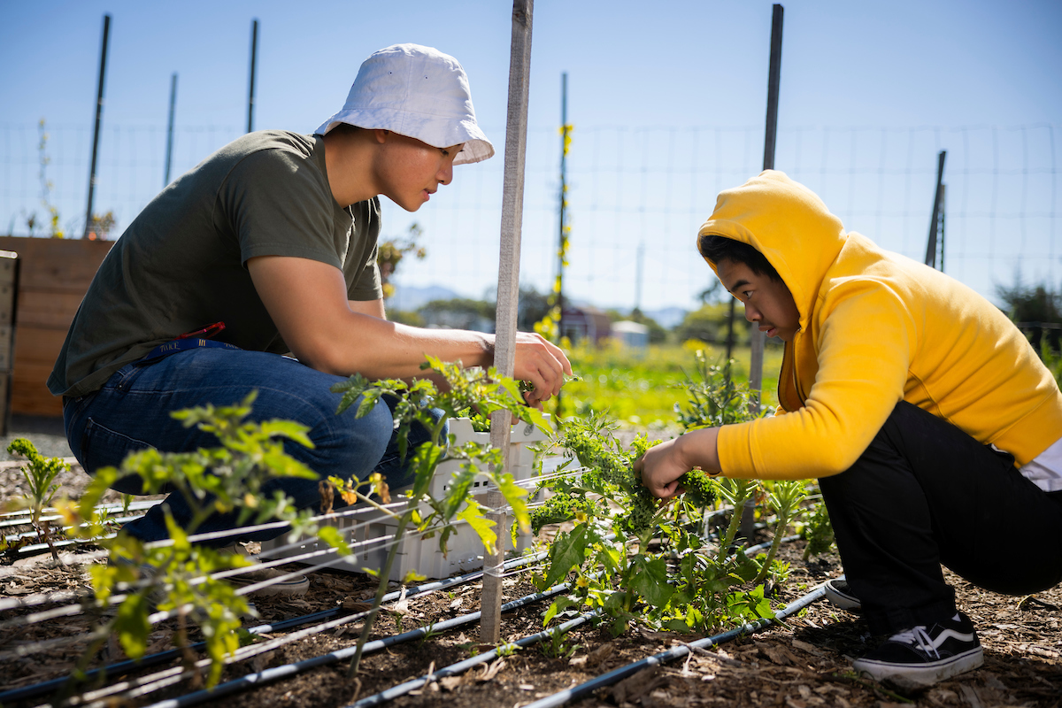 A College Corps fellow and a high school student work together in a garden.