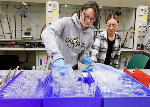 A student in a Polymer Synthesis Lab performs an experiment using different colors of UV light to see which will polymerize a solution in less time