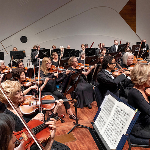 Violinists and their music sheets perform on stage the rest of the symphony around and behind them.