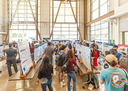 Students examine student poster boards at the 2022 SURP display event