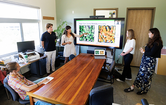 A group of students present a PowerPoint on their research to a seated professor