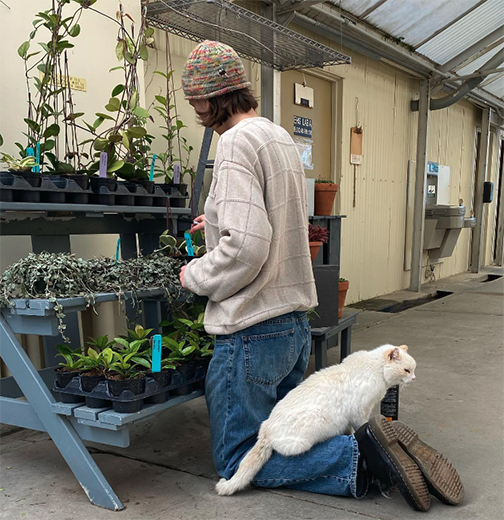 Tom, a white cat, sits on the feet of a person at the Poly Plant Shop.