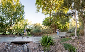 Students work in the Leaning Pine Arboretum.