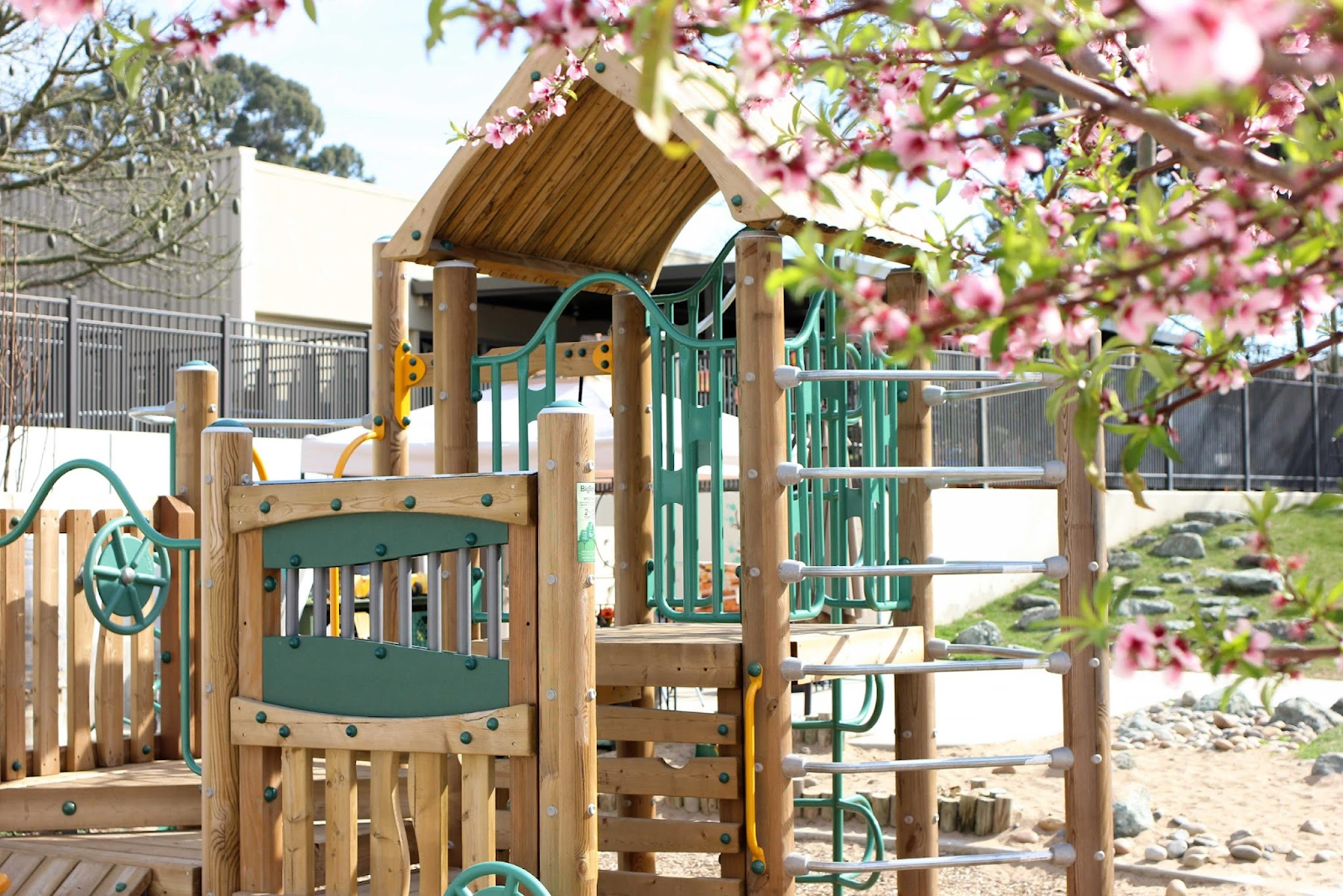 Childrens play structure with blossoming tree in foreground.