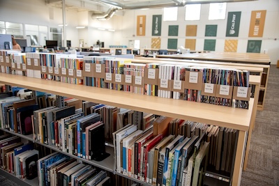 Rows of library books.