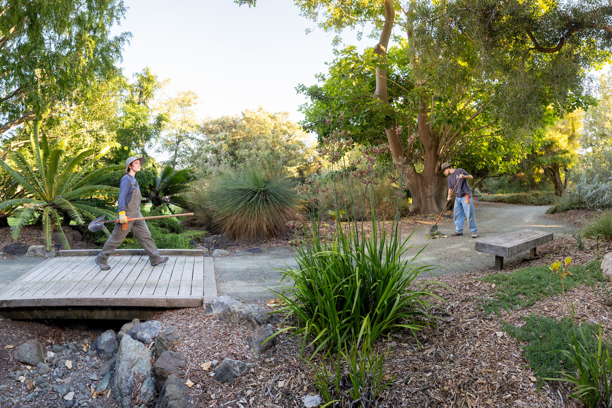 Two students work with hand tools in the arboretum gardens