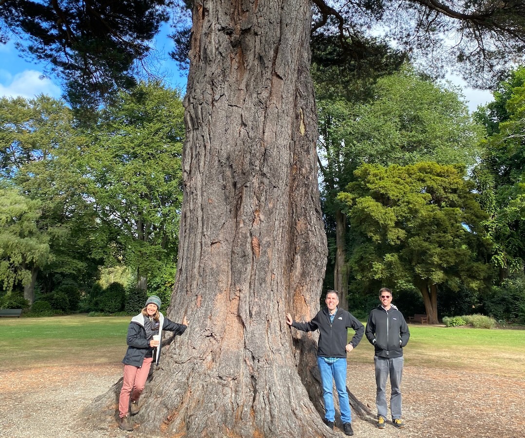 Biological sciences Professor Jenn Yost, left, computer science Professor Jonathan Ventura, middle, and biological sciences Professor Matt Ritter stand beneath a massive tree in Dunedin Botanical Garden, New Zealand. 