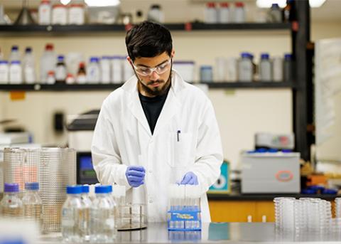 A student researcher in a white lab coat conducts an experiment in a Cal Poly science lab
