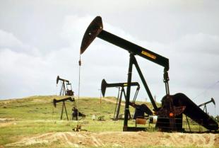 A line of oil derricks in an oil field.