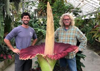 Back to Back Blooms Another Corpse Flower Comes Alive For Third