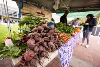 Ask An Expert: How Will Climate Change Shape California's Food Future ...