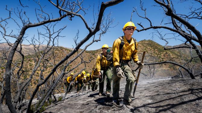 A crew of firefighters walks through burnt brush and tree limbs