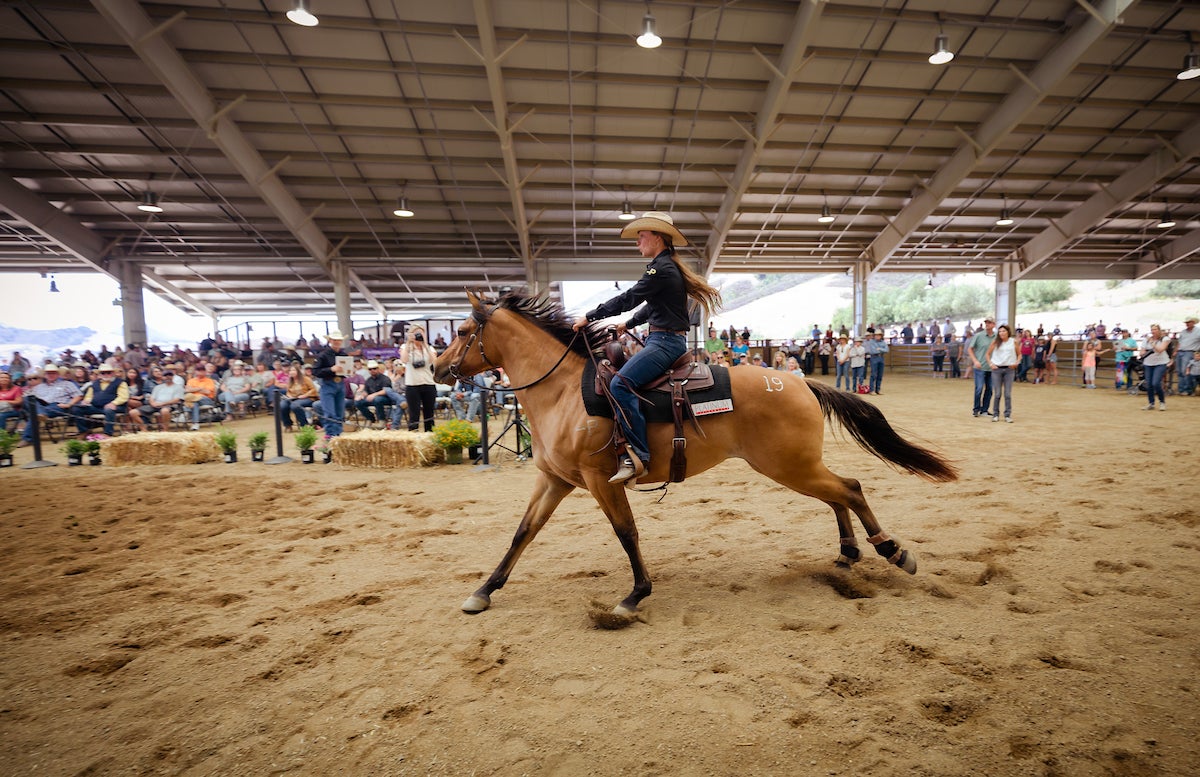 A woman wearing a cowboy hat rides a brown horse in a covered arena.