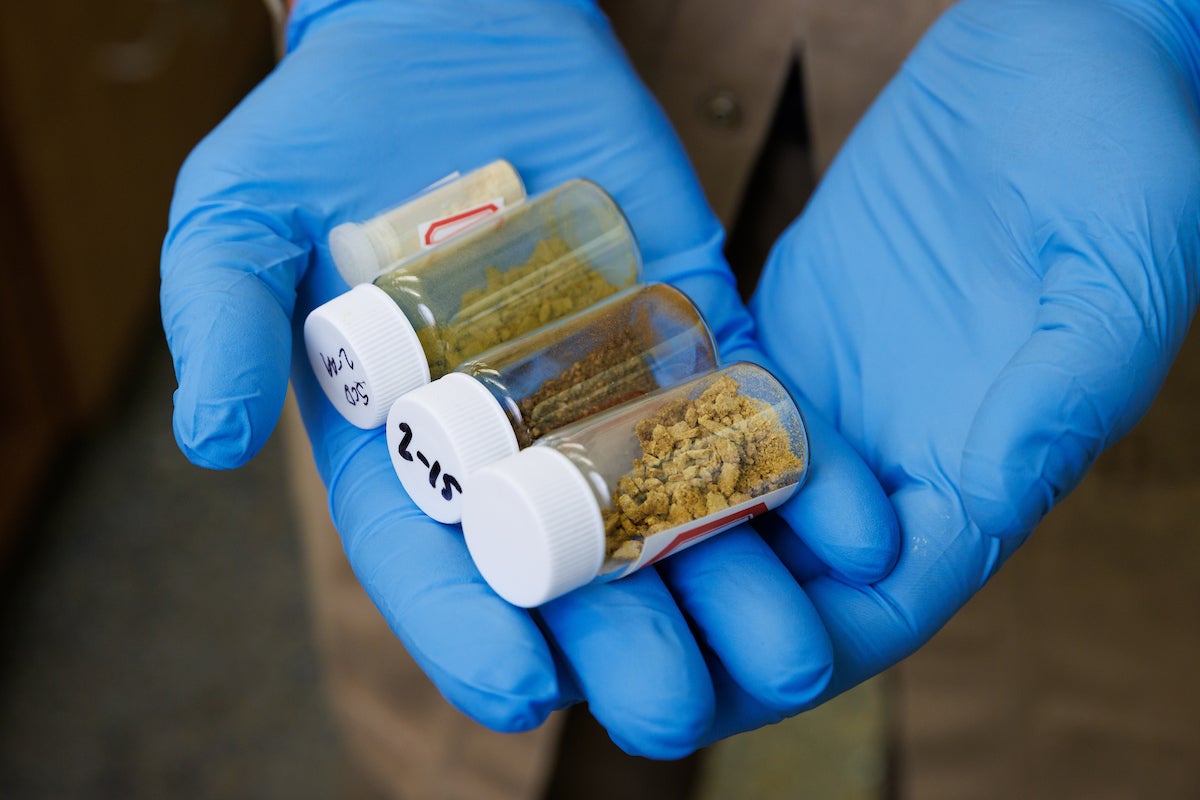 A detail shot of four derivative drug compounds made in Scott Eagon's lab.