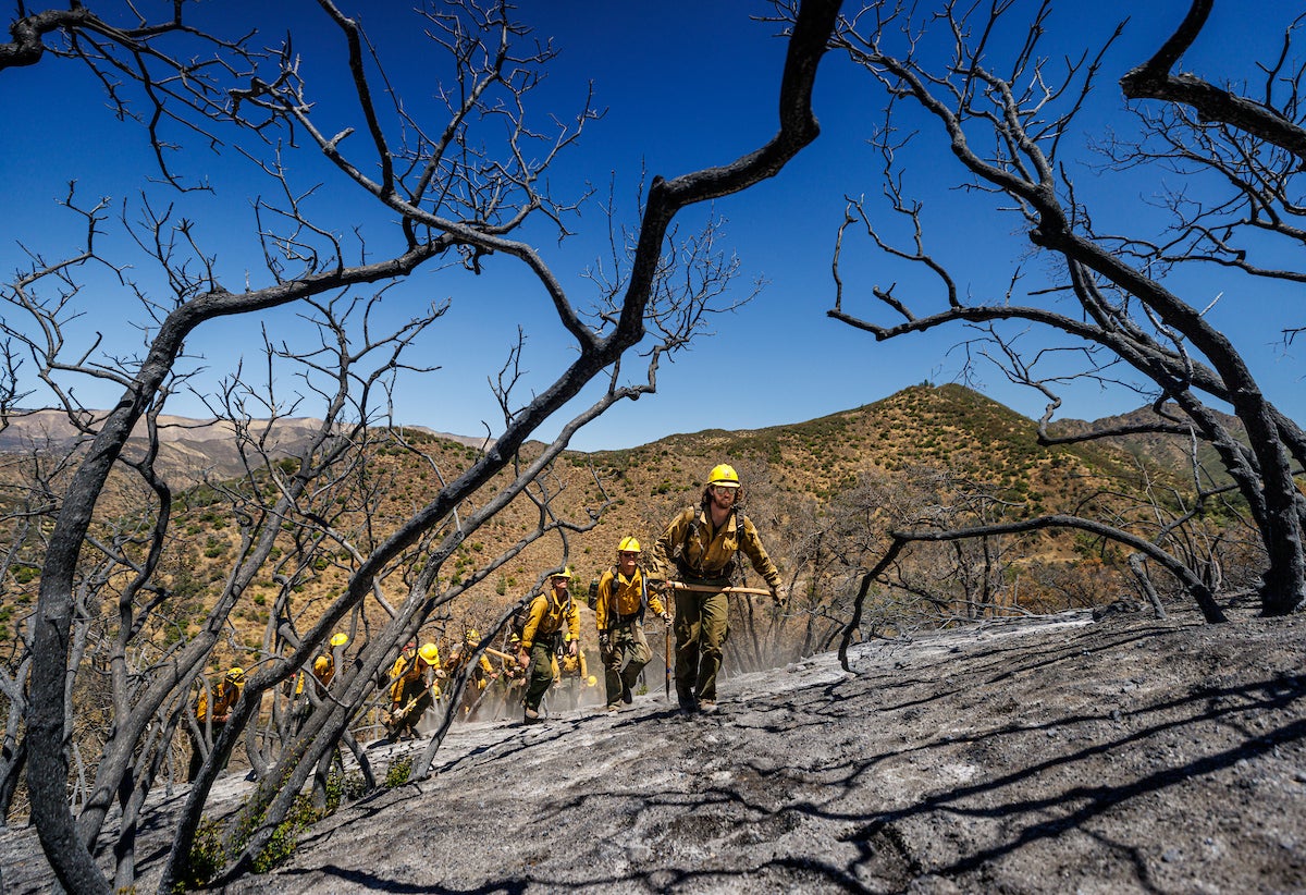 Students in yellow firefighting gear march through a burned out area in Santa Barbara County.