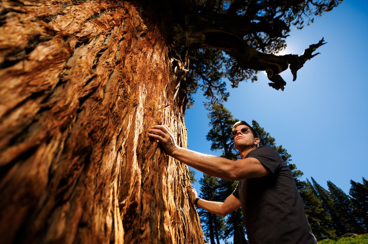 Professor Matt Ritter at the base of the Bennett Juniper.