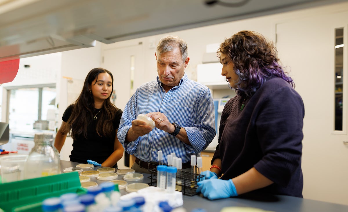 A professor and two students wearing protective lab gear work with petri dishes of bacteria.