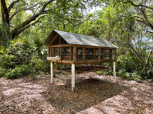 A wooden chicken coop in a dirt field surrounded by trees.