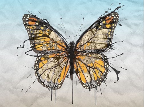 An illustration of a Monarch butterfly.