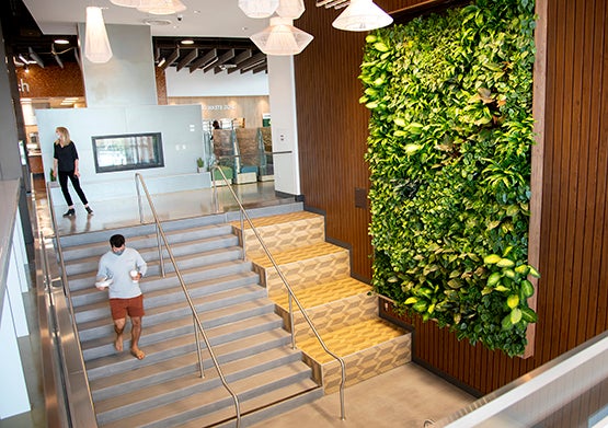 A student walks down the stairs holding food in front of a large wall covered in plants