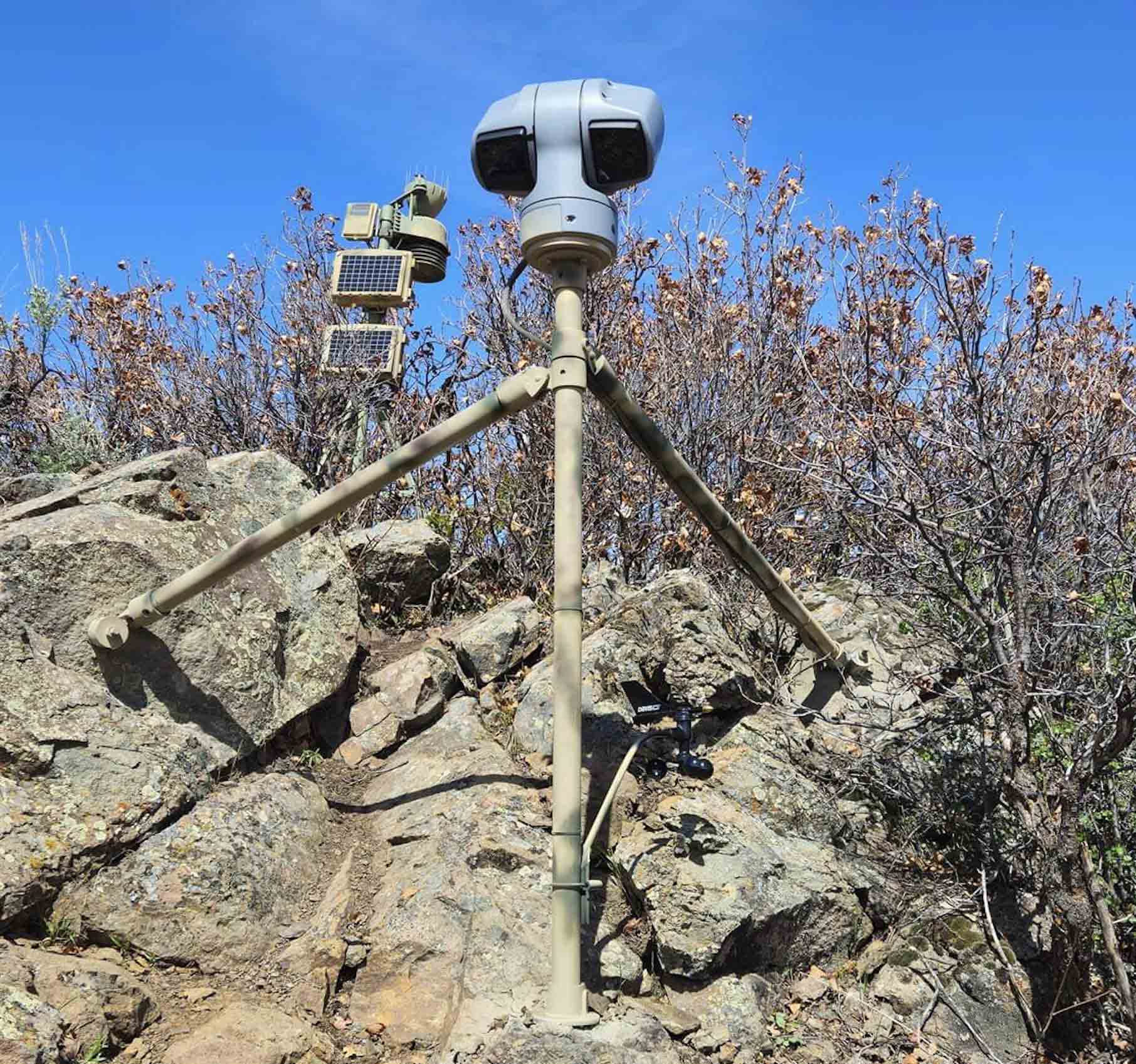 The researchers' livestream camera setup in Colorado.