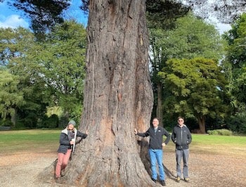 Biology Professor Jenn Yost, left, computer science Professor Jonathan Ventura, middle, and biology Professor Matt Ritter stand beneath a massive tree in Dunedin Botanical Garden, New Zealand. 