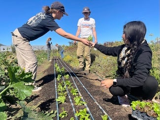 Students plant seedlings in a field.