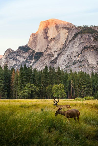 Scenic shot of outdoors