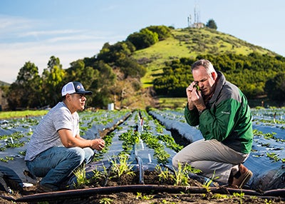 A student and a professor examine crops in the field