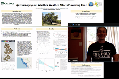 A screenshot of Nick Gammal presenting his research on the coast live oak.