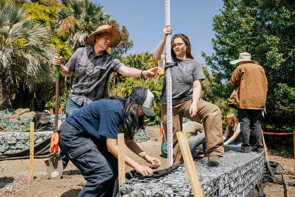 Two students and a faculty member use a measuring stick near gabion bench seating in a lush garden