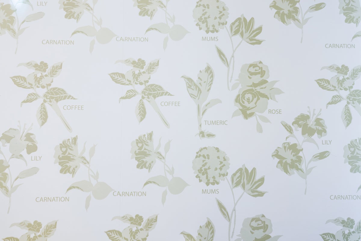 Illustrations of flowers on wallpaper