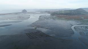 An aerial photo of the Morro Bay Estuary.