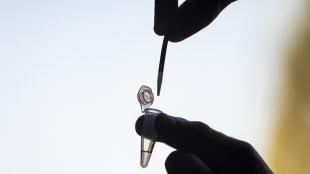 Hands in silhouette place a strip of paper into a clear plastic vial