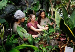 Professor Jenn Yost, center, stands in a greenhouse at the new Plant Conservatory with two other students, looking at tropical plants. 