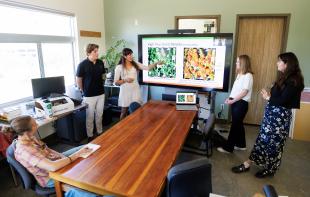 A group of four students stand next to a television screen as they present a PowerPoint presentation. A professor is sitting at the table in front of them, watching intently.