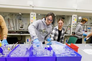 A student in professor Leslie Hamachi’s CHEM 548 - Polymer Synthesis Laboratory and CHEM 448 - Polymers and Coatings Laboratory II class performs an experiment using different colors of UV light to see which will polymerize a solution in less time.