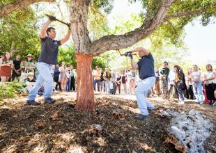 Two professional cork harvesters perform a demonstration for students on the lawn by the red brick dorms.