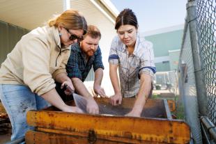 Three students examine artifacts on a wet screen frame