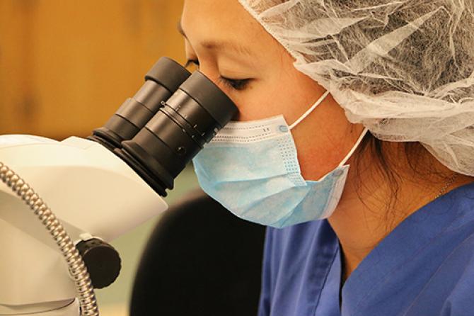 Student working with microscope