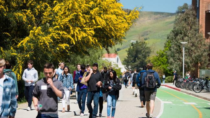 Group of students walking down a road through Campus.