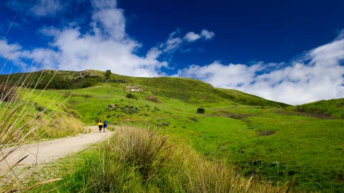 Students hiking the P