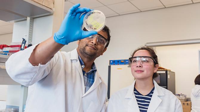 Biological Sciences students in lab