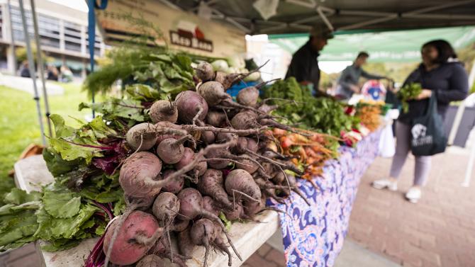 Close-up of beets at a Farmer's Market on campus. 