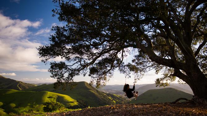 Student on serentity swing on a hill overlooking the campus